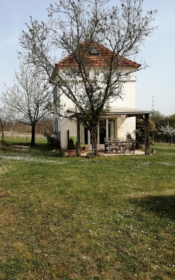 Gite Le Pigonnier Ecogite Le Luquet Saint Beauzeil 82150 Exterior photo